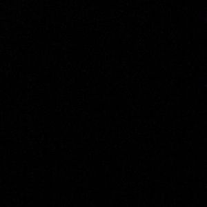 Meet your Posher, Alisha